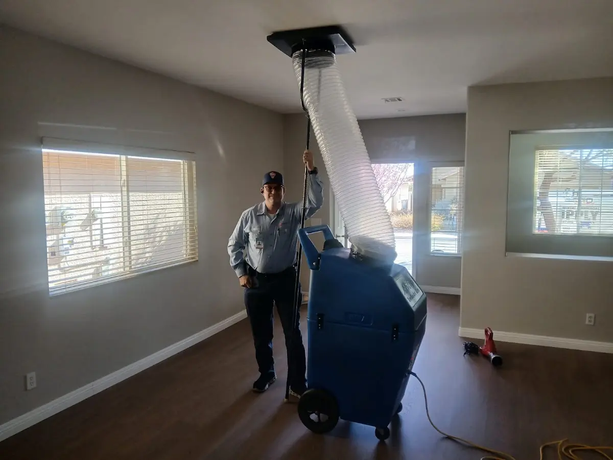 Professional Dryer Vent Cleaning work inside a Greene home